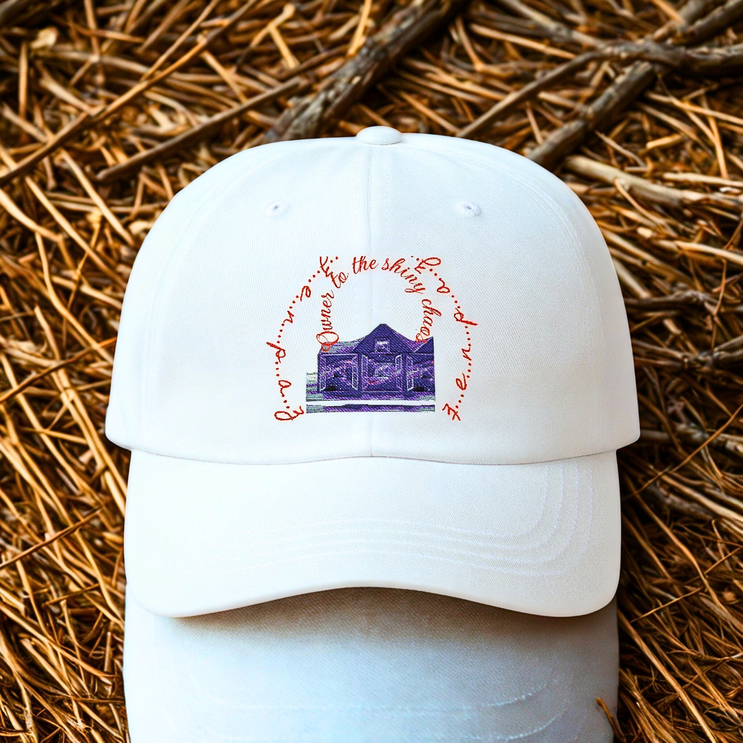 Owner to the shiny chaos! Cap collection special  by ZENPAZ